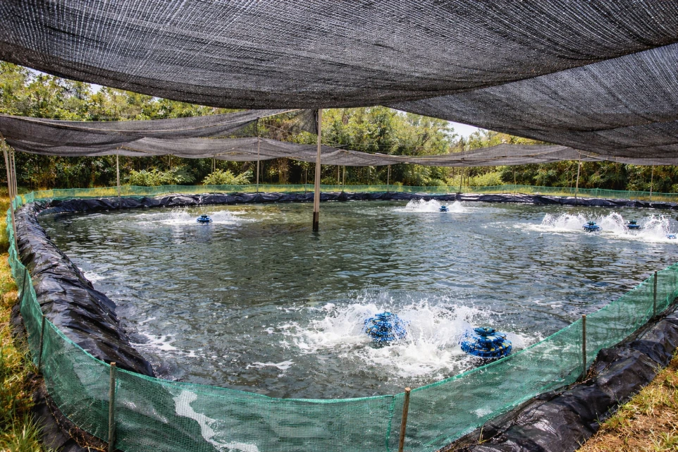 Tentang Kami | SMBC INTRATECH