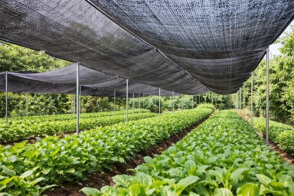 Tentang Kami | SMBC INTRATECH